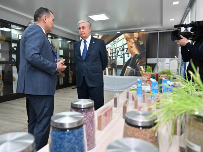 Президент Шығыс өңіріндегі элиталық тұқым шаруашылығының қызметімен танысты