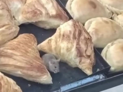 Семейде самса сататын дүңгіршектердің бірінде тышқан жосып жүр