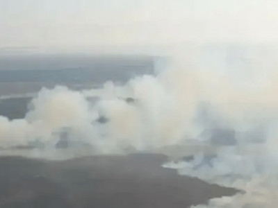 Каспий теңізінің жағалауында 100 гектар аумақта қамыс өртенді