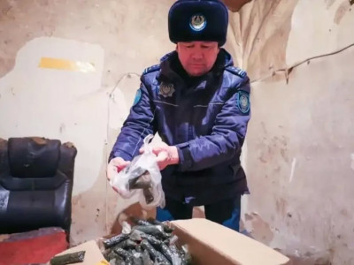 Астанада насыбай өндіретін жерасты цехы жойылды