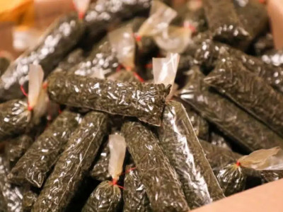 Түркістанда 10 күн ішінде насыбай сатқан 202 адам анықталды