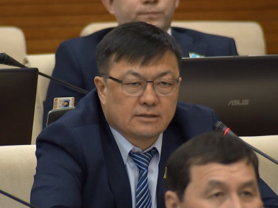 "Жұт жайын елдің арасына барып білудің орнына өлексе санаумен шектелді": Депутаттар министрлікті сынға алды