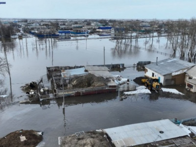 Министрлік су тасқынынан қырылған мал санын жариялады