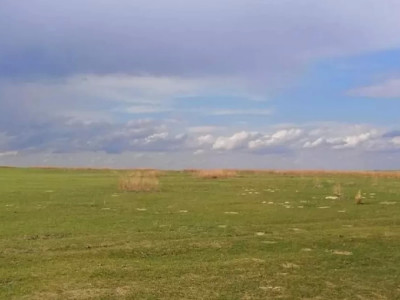 Құны 2 млрд теңгеден асатын жер мемлекет меншігіне қайтарылды