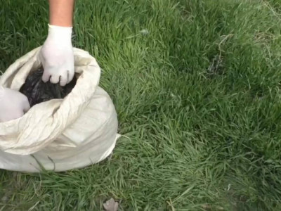 Шу тұрғынынан құны 5 млн теңгеге бағаланған гашиш тәркіленді