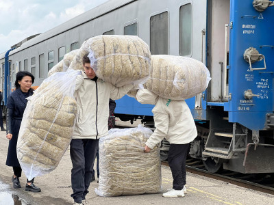 Түркістан облысынан жиналған гуманитарлық көмек өңірлерге жіберіліп жатыр