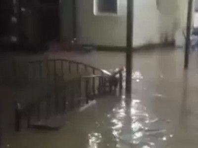 Жамбыл облысында бір ауылды су басты