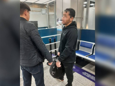 Экономикалық контрабанда жасаған күдікті Түркиядан Қазақстанға жеткізілді