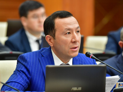 Шетел мультфильмін көрген балалардың тілі не орыс, не ағылшынша шығып жатыр – депутат отандық анимациядағы мәселелерді көтерді