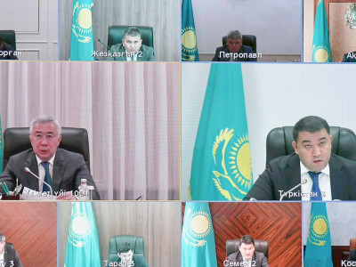 Үкімет: Жедел штаб шегірткенің өңірлерде таралуына қатысты жағдайды талқылады