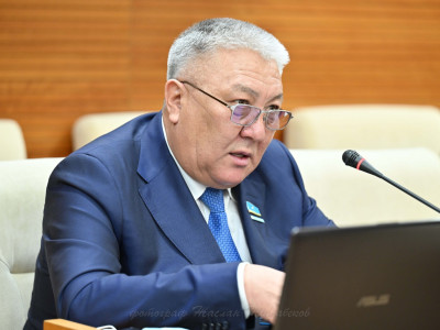 "Отбасы банкі" толыққанды даму институтына айналады