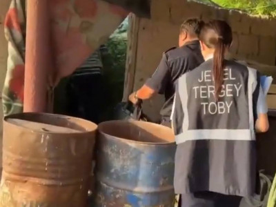 Жамбыл облысында ірі есірткі плантациясы табылды (ВИДЕО)