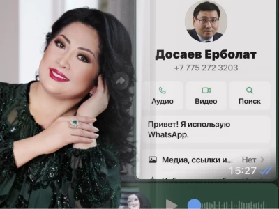 «Жарты сағат қойған сұрақтарына жауап беріп отырсам»: Әлдебіреу Мақпал Жүнісоваға Алматы әкімі Ерболат Досаевтың атынан хат жазған