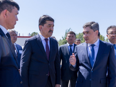 Премьер-Министр «Семей орманындағы» өртенген қарағайлы орманды қалпына келтіру жұмысын тексерді