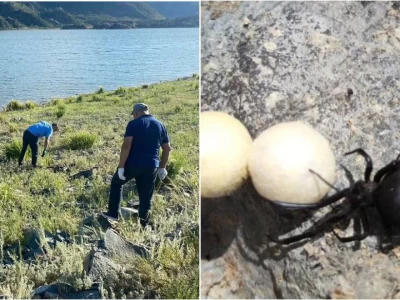 Павлодар облысында төтенше жағдай жарияланбақ