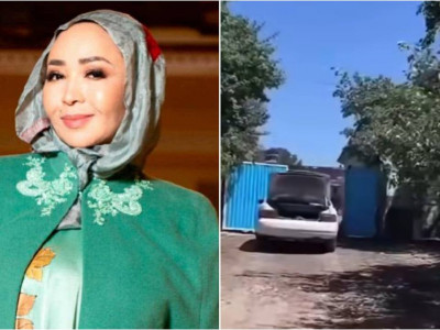 «Жағдай жасалса»: Айнұр Тұрсынбаева Демеу Жадыраевтың туған ауылын көрсетті