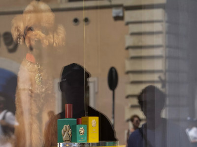 Dolce & Gabbana иттерге арналған қымбат иіссуды сатылымға шығарды