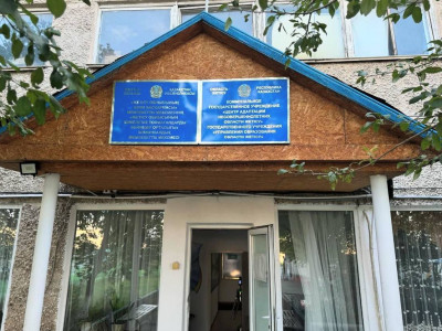 «Анасы жақында қайтыс болған»: Жетісу облысында баланың денесін үтікпен күйдірген