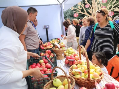 Apple Fest-2024: Hiro және Captown, 130 тонна алма, 1700 литр алма компоты және Шапито циркі