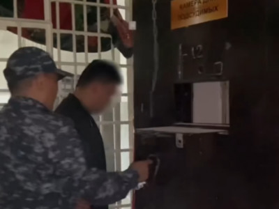 Шымкенттік алаяқ науқас балалардың суретін пайдаланып, 32 млн теңге тапқан