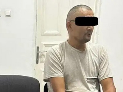 Балаларды асырап алып, шетелге сатқан қылмыскерлер ұсталды