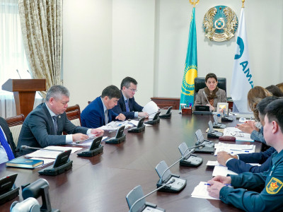 Тамара Дүйсенова азаматтарды онлайн қабылдады