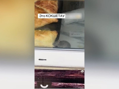 Көкшетаудағы дүңгіршекте тышқандар самса жеп жүрген видео тарады
