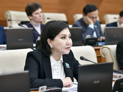 "Қағаз жүзінде емес іс жүзінде шешуіңізді сұраймын": депутат тізімде жоқ, есепке алынбаған ауылдардың мәселесін жеткізді