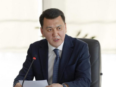 Мемлекеттік хатшы Ерлан Қарин референдумда дауыс берді