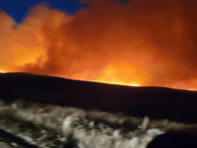 Павлодар облысындағы өртті сөндіруге 600 адам, 4 тікұшақ жұмылдырылды