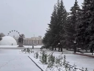 Солтүстік Қазақстан облысында қар жауды