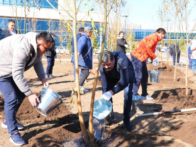 Елордада ағаш егу күні өтті