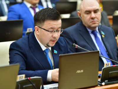 "Түкке тұрғысыз дүниені түйенің құнына өткізіп жібереді": депутат курс өткізетін коучтар мен блогерлерді бақылауға алуды ұсынды