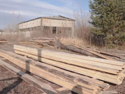 «Семей орманы» табиғи резерватында жаңа ағаш кесу зауыты іске қосылды