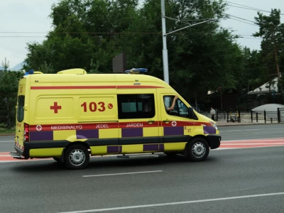 Петропавлда әжесі мен немересі уланып қалды