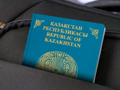 Шетел азаматы жалған құжатпен елге кірмек болған