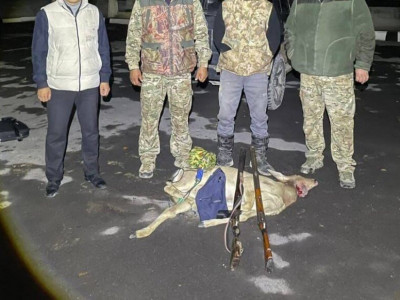Алматы облысында «Қызыл кітапқа» енген жануарларды аулаған браконьерлер ұсталды
