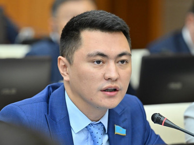 "Атайын десең, аң емес, сояйын десең, мал емес": Дәулет Мұқаев квадроберлер туралы мәселе көтерді
