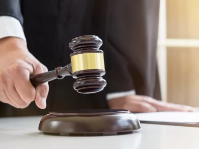 Текеліде итін өлтіріп, иесін сабаған тұрғын сотталды