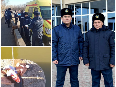 Оралда көпірден секірмек болған қыз аман қалды