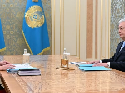 Президент Мәдениет және ақпарат министрі Аида Балаеваны қабылдады
