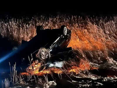 Павлодарда жылқылармен соқтығысқан көлік жүргізушісі қаза болды