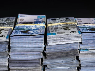 Көкшетауда мүмкіндігі шектеулі балаларға арналған қаражат жымқырылған