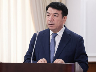 Семейде шырша орнатуға көмектескен мұғалім жарақат алды