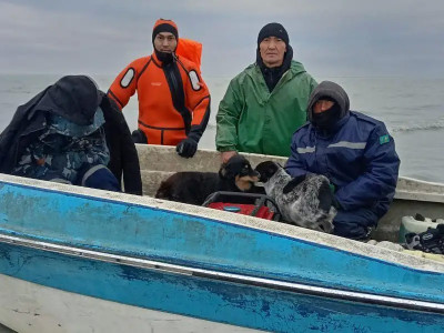 ШҚО-да 13 балықшы жауапқа тартылды