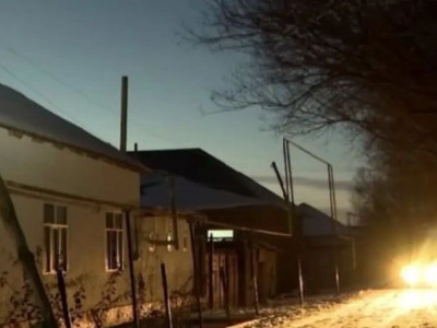 Түркістан облысында ауыл жұрты қасқырдан қорқып, көшеге шыға алмай отыр