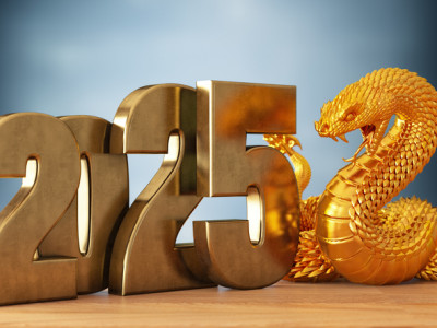 2025: Жылан жылынан не күтеміз?