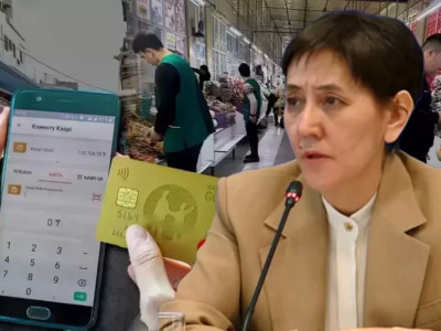 «Kaspi-нөміріне көп ақша түскендерге айыппұл салынады»: Дүйсенова мәлімдеме жасады