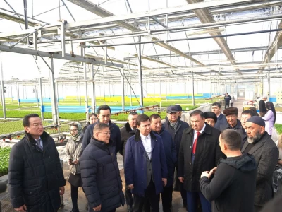 Мәжіліс депутаттары Түркістан облысындағы кәсіпорындарды аралады