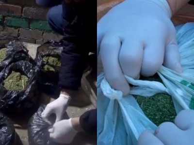 Ақтөбе тұрғынынан құны 12 млн теңге болатын марихуана тәркіленді